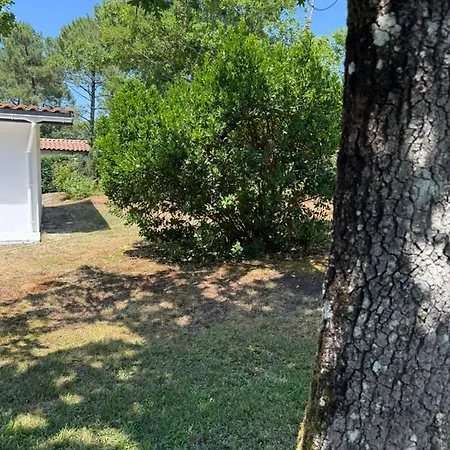 La Maison De La Foret Et Son Jaccuzy