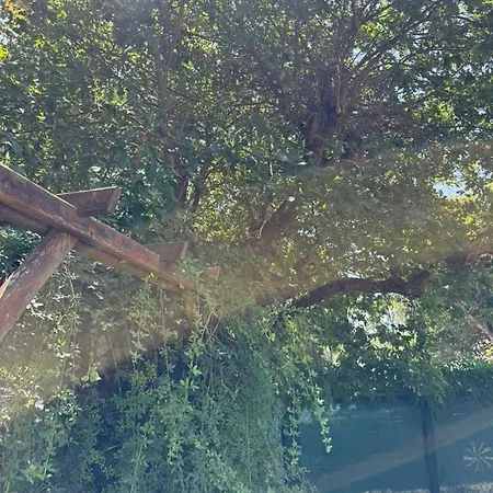 Σπίτι διακοπών La Maison De La Foret Et Son Jaccuzy