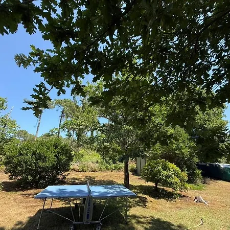 Dom wakacyjny La Maison De La Foret Et Son Jaccuzy *