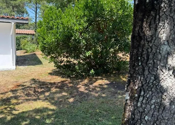 La Maison De La Foret Et Son Jaccuzy