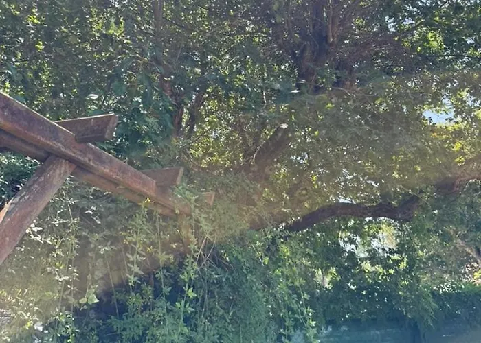 Dom wakacyjny La Maison De La Foret Et Son Jaccuzy