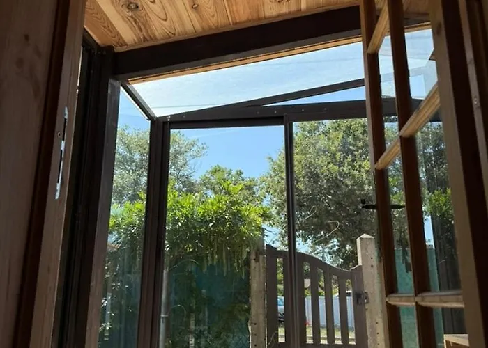 La Maison De La Foret Et Son Jaccuzy Dom wakacyjny Biscarrosse