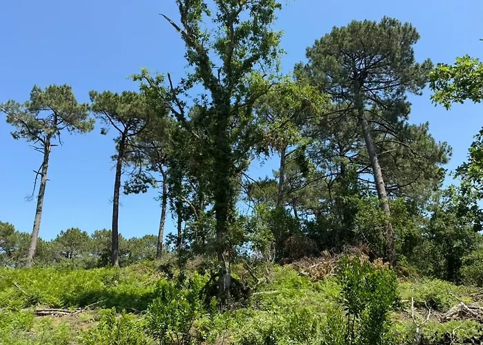 La Maison De La Foret * Biscarrosse